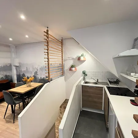 Duplex Pour 2 - 10e * Paris