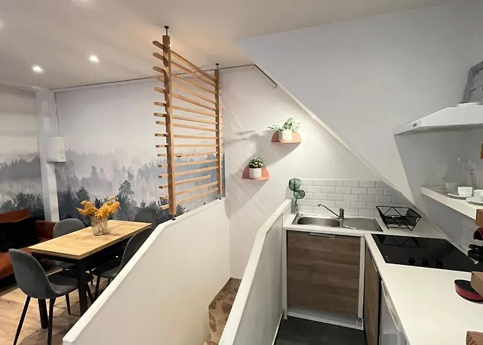 Duplex Pour 2 - 10e * Paris